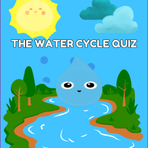 The Water Cycle Quiz - Childies Academy